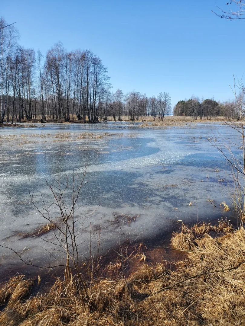 Вилейское водохранилище — фото 4