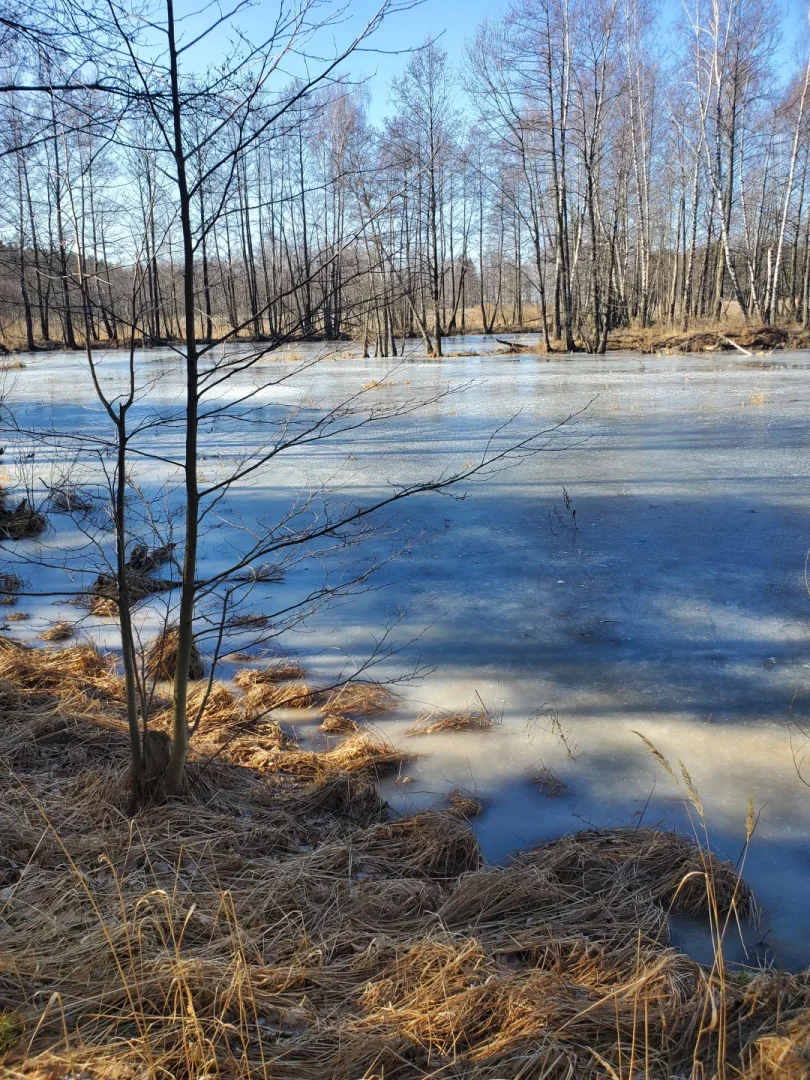 Вилейское водохранилище — фото 13