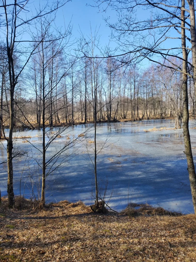 Вилейское водохранилище — фото 14