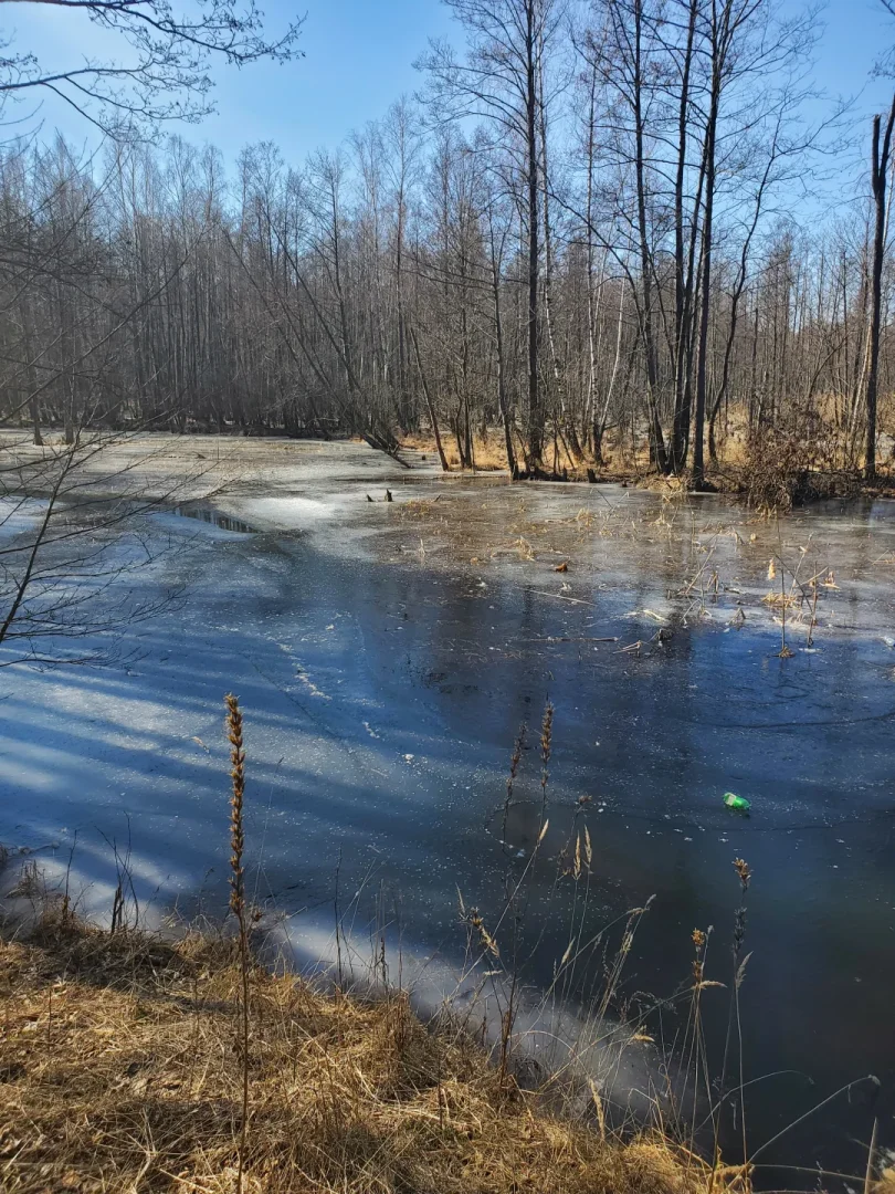 Вилейское водохранилище — фото 15