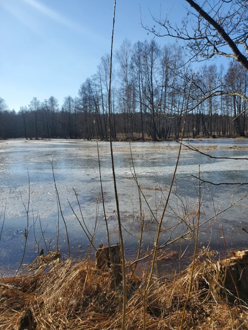 Вилейское водохранилище — фото 12