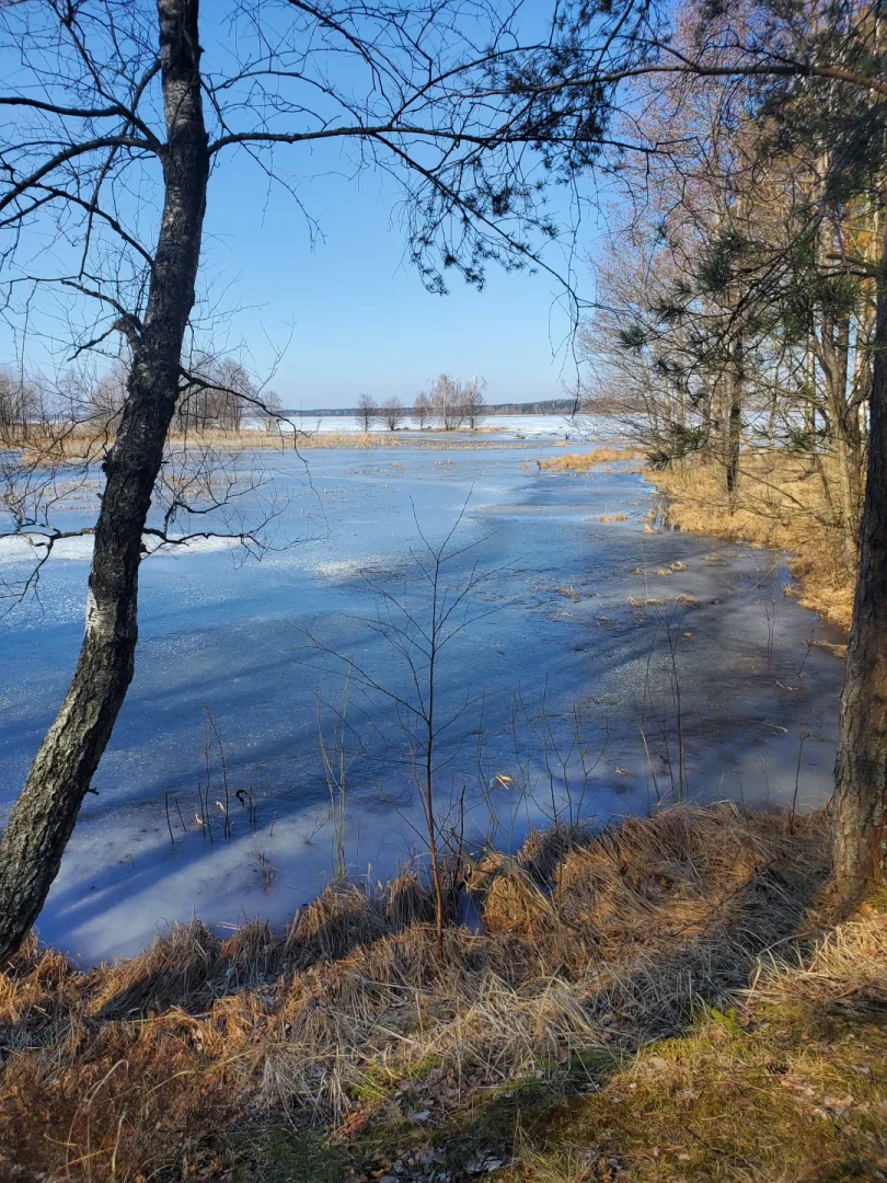Вилейское водохранилище — фото 2
