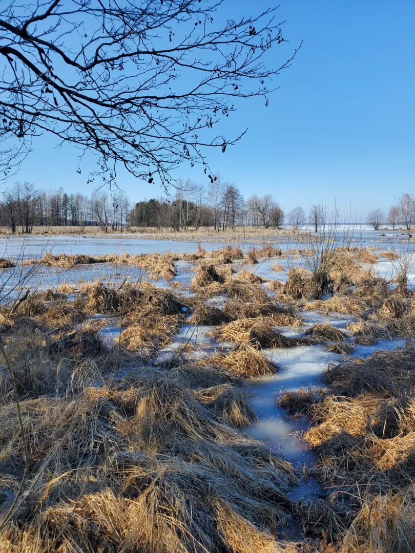 Вилейское водохранилище — фото 10