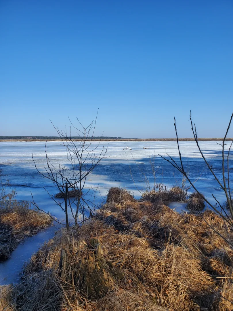 Вилейское водохранилище — фото 7