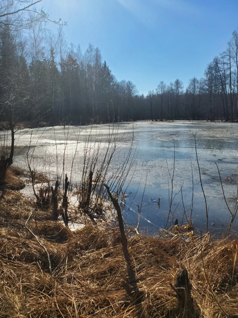 Вилейское водохранилище — фото 11