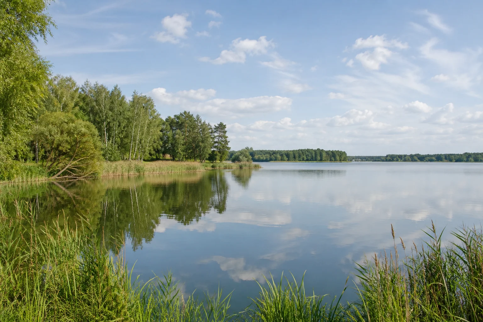 Цнянское водохранилище