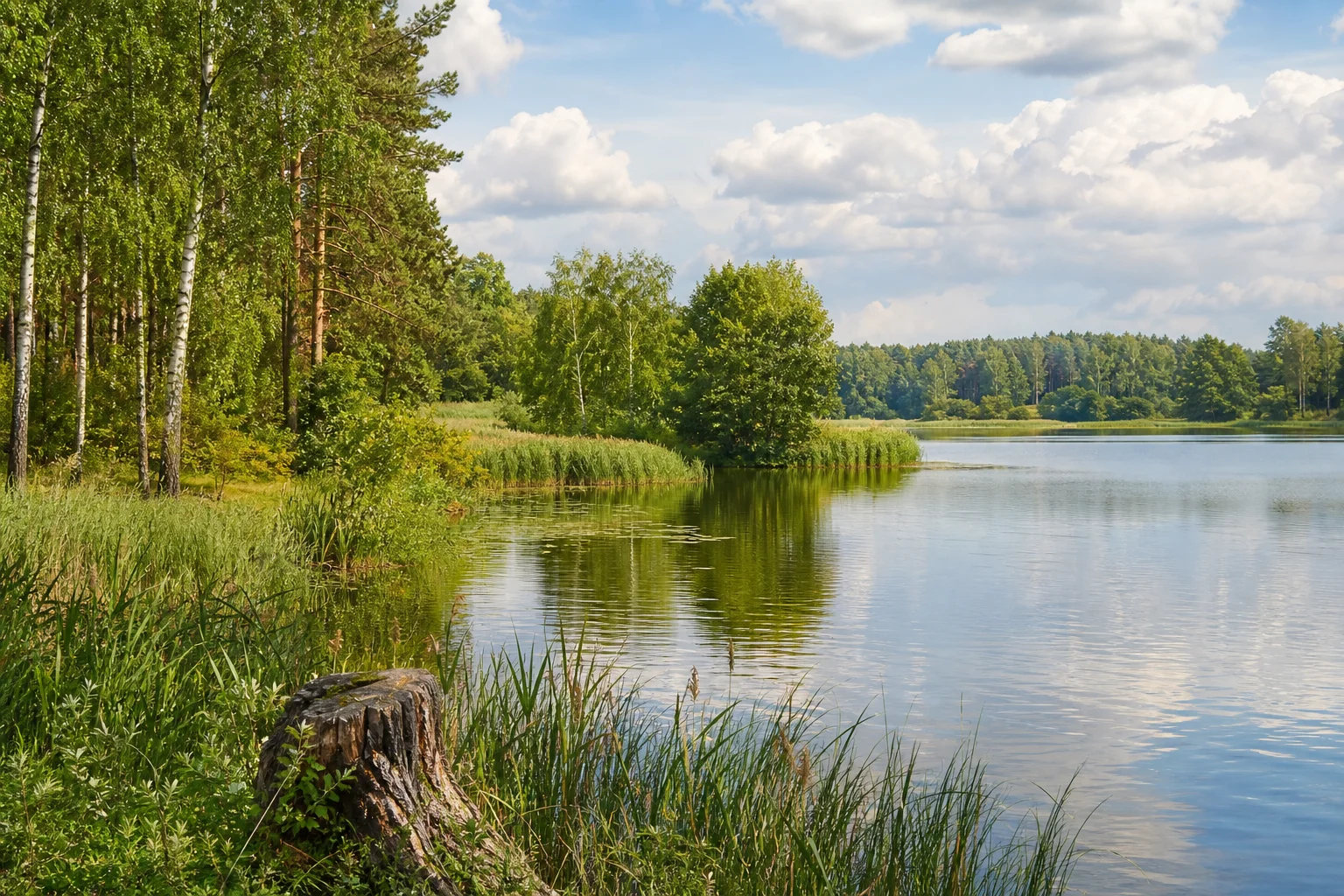 Цнянское водохранилище в Минске