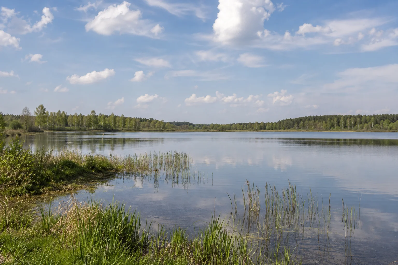 Лошанское водохранилище