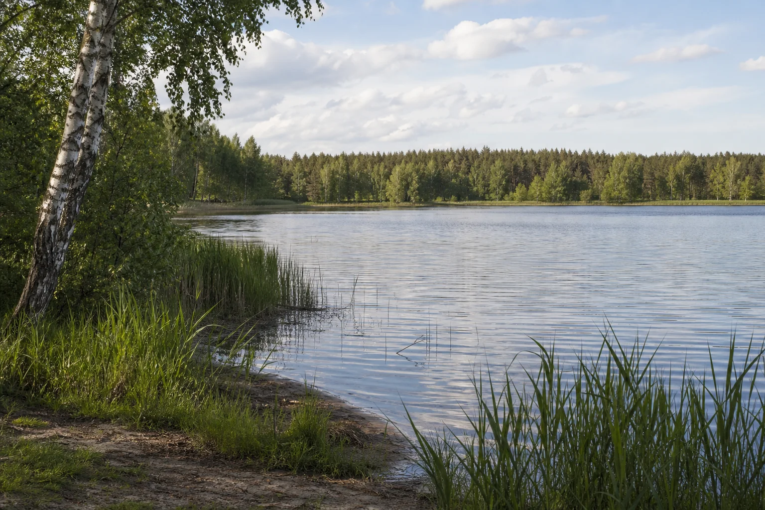 Озеро Ченский Ляхов