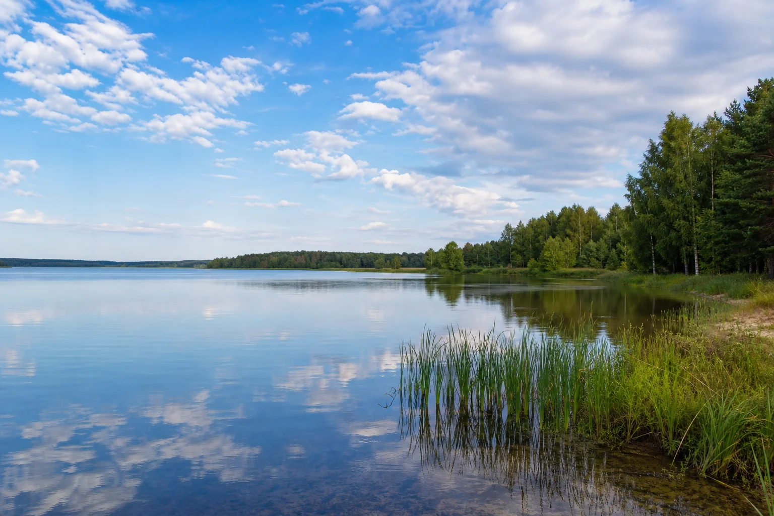 Петровичское водохранилище
