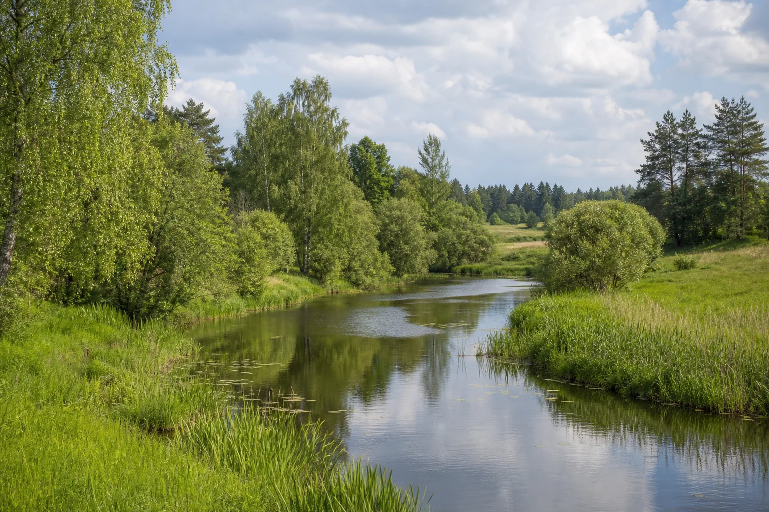 Река Гайна
