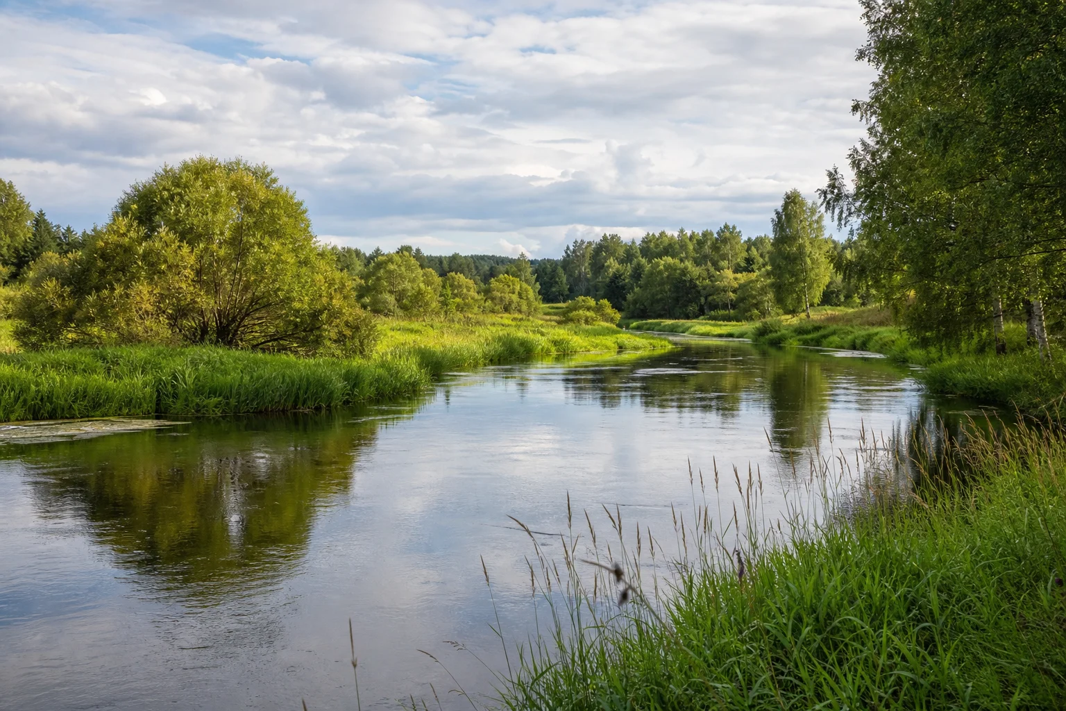 Река Мена