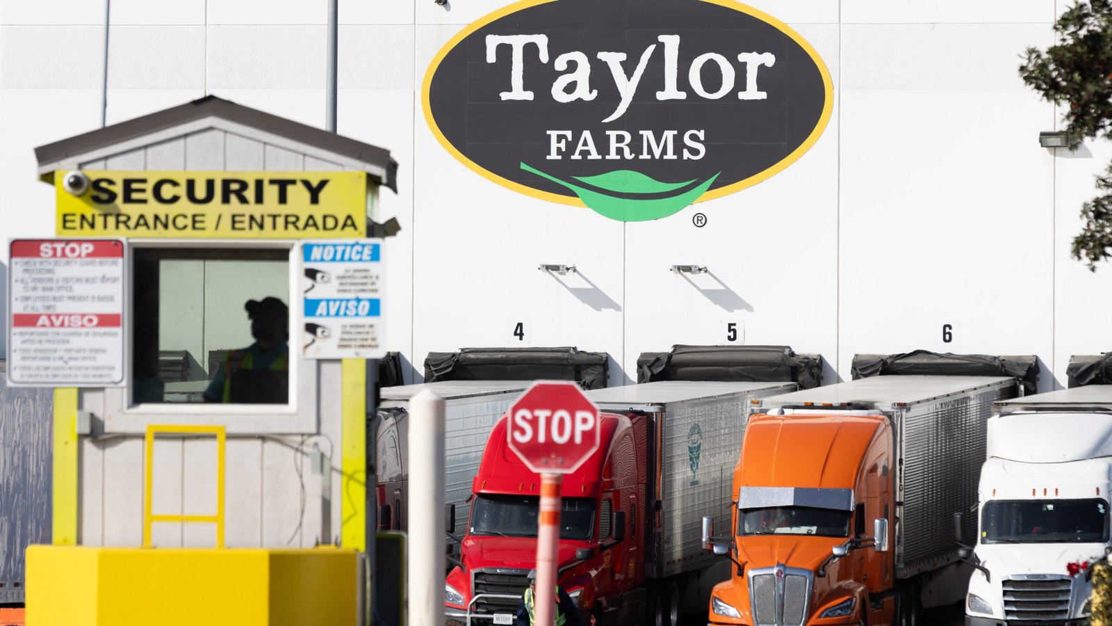 В США отзывают салат Taylor Farms из-за вспышки циклоспороза