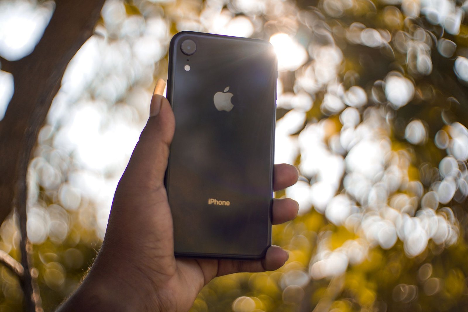 Apple запустит программу лизинга устройств: iPhone, iPad и Mac станут доступнее