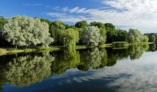 Несвижский водно-парковый комплекс