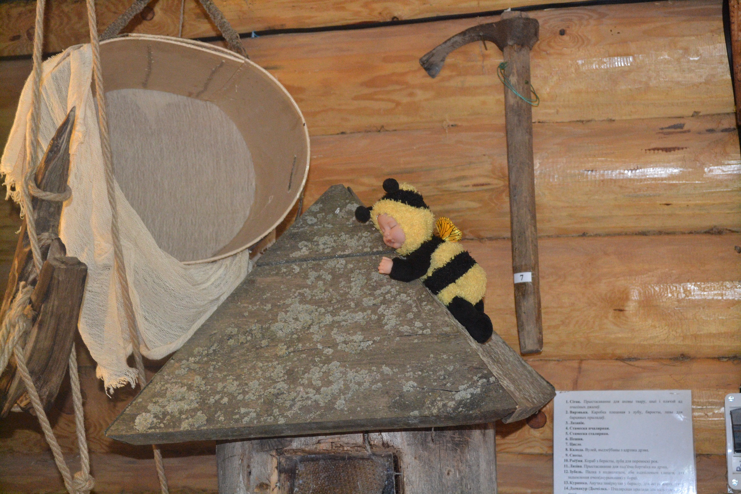 Музей Дудутки — фото 36