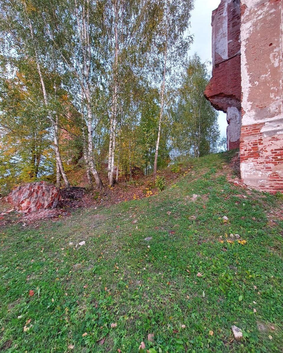Губино. Костел Святого Антония (руины) — фото 7