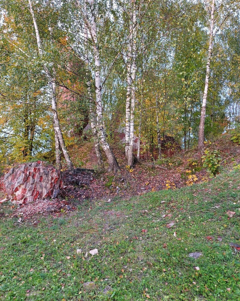 Губино. Костел Святого Антония (руины) — фото 8